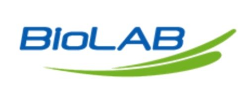 image - 2025-10-27T172455.659