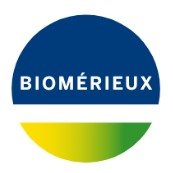 image - 2025-10-27T174454.490