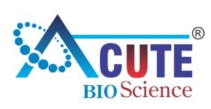 image - 2025-10-27T173006.379